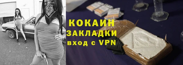 шишки Корсаков