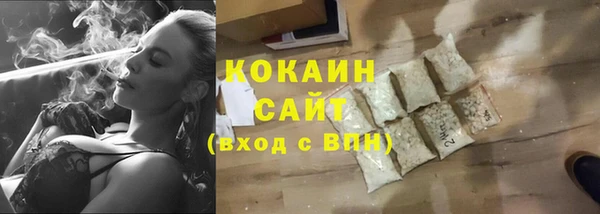 шишки Корсаков