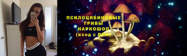 не бодяженный Коряжма