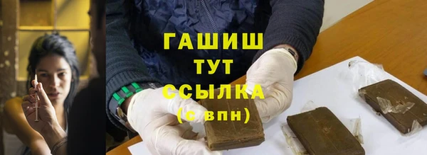 шишки Корсаков