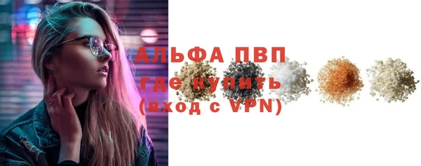 шишки Корсаков