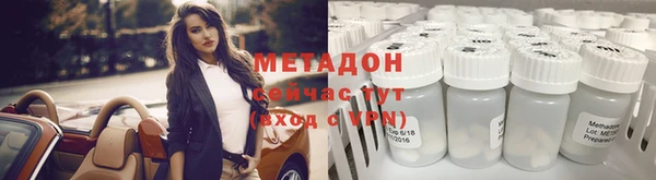 шишки Корсаков