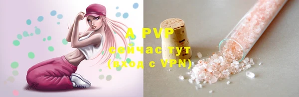 шишки Корсаков