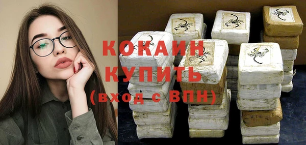 шишки Корсаков