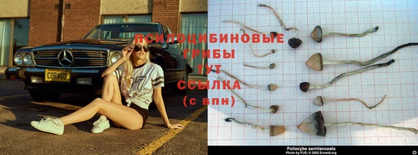 амфетамин Костерёво