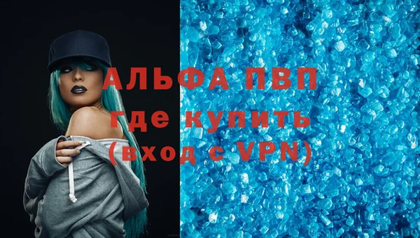шишки Корсаков