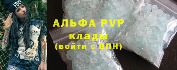 шишки Корсаков